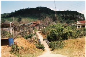 Con đường nhỏ
