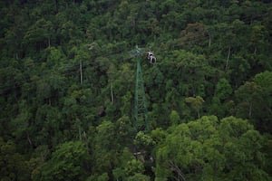 Ba Na Hill Cable Car over the jungle