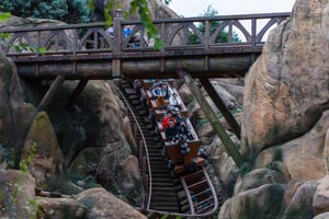 People Emotions on a Roller Coaster