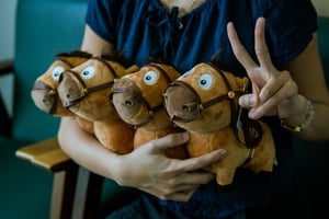 Cô gái sưu tầm Mã Tiểu Dã
