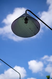 Chụp đèn hình lưới