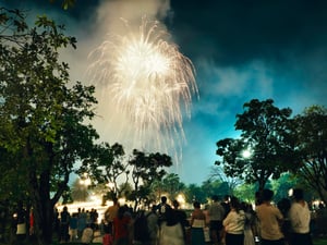 Fireworks in the park