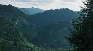 Phong cảnh núi rừng Hòa Bình