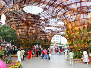Giọt Xuân từ đất