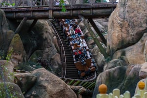 People Emotions on a Roller Coaster