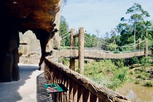 Cầu treo Cá Sấu