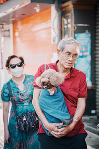 Elder Couple And A Puppy