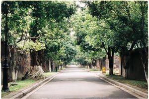 Con đường rợp bóng cây xanh tại Hoàng Thành Huế