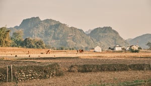 Cánh đồng khô cằn ở Sơn La