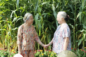 Ngày xuân thăm nhau