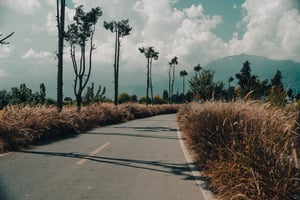 Con đường quê thanh bình