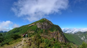 Xương sống khủng long