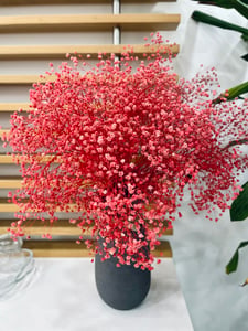 A vase of red "rosy" baby flower
