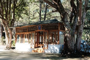 Hoang Hac restaurant