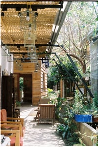 A cozy coffee shop