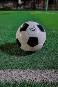 The ball in the field