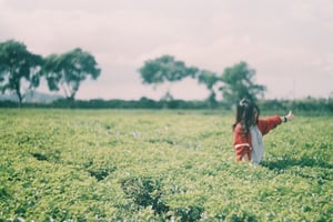 Cô gái trẻ đi dạo trên đồi chè xanh