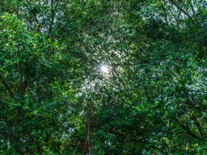 Tamron 28-75mm Flare at f/10