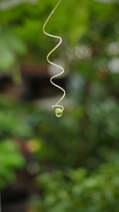 A rain-drop / water-drop / morning-dew