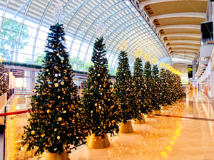 Christmas Trees