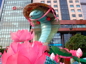 Rắn Miền Nam