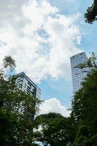 Skyscrappers among the trees