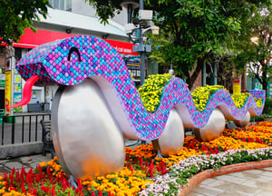 Rắn lười cõng hoa
