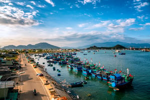 Đoàn thuyền đánh cá