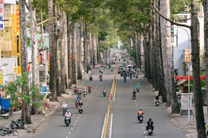 Con đường giữa hai hàng cây