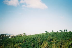 Lush green hillside under a beautiful blue sky with white clouds