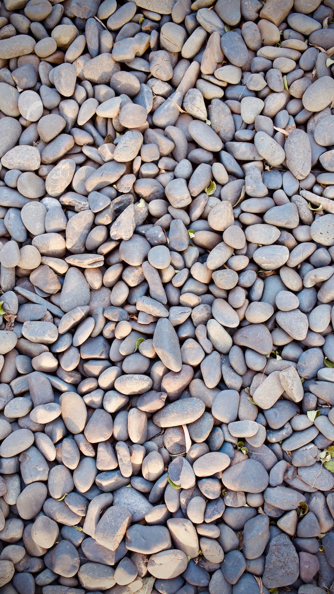 Gray pebbles / round stones