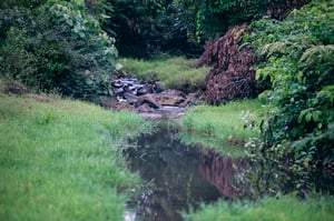 Một con suối nhỏ