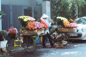 Gánh hàng hoa trên phố