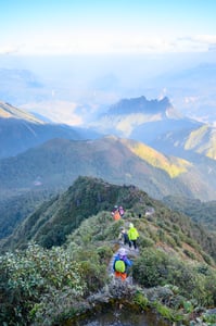 Xương sống khủng long