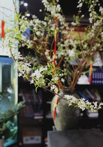 Rồng lượn